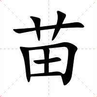 苗字意思|苗